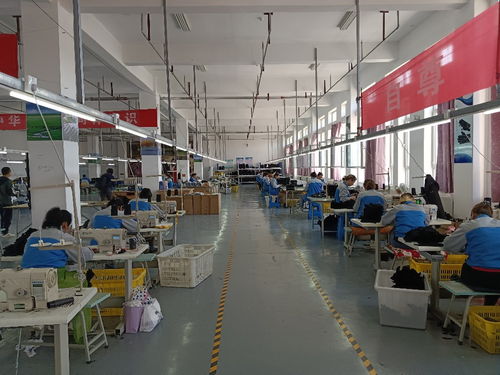 高質量發展調研行丨中歐班列賦能產業升級 重慶輕紡產品暢銷全球，軟件開發迎來新機遇